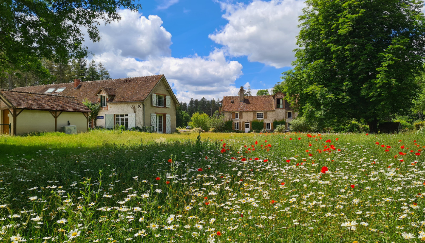Besoin de calme ? Organisez vos vacances au Moulin de Crouy !